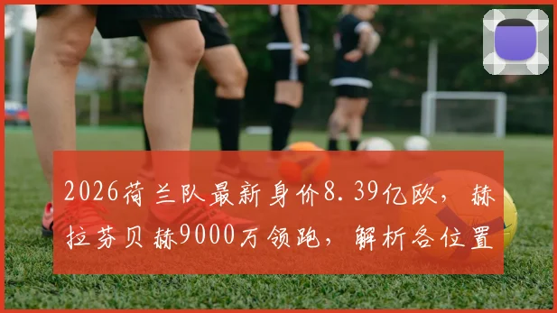 2026荷兰队最新身价8.39亿欧，赫拉芬贝赫9000万领跑，解析各位置价值与阵容总价构成